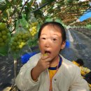 코코농원 이미지