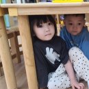 충주금릉초 이미지