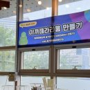 두드림생태학습관 | 청소년청년센터 생태전환교육 프로그램 후기_이끼테라리움 만들기 체험
