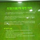 2011년 8월 16일 (전북 부안군 변산)전통 죽염으로 만든 된장,간장 소금 만드는 삼보식품 방문 (1) 이미지