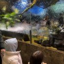 아쿠아필드 하남 | (26.01.01)아쿠아필드 하남 방문 후기: 5살, 6살 연년생 남매와 함께 즐거운 물놀이 &amp; 힐링 체험!