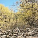 남원고을 이미지