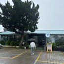 모모라면 | 제주도 서귀포 해물라면 모모언니 바다간식 서귀포 본점 후기