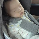 안성면100 | 6개월 아기 장거리 명절이동 (서울↔거제) | 휴게소 수유실(덕유산, 옥산), 이동팁