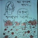 다나움 이미지