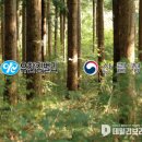 유한킴벌리 주식회사 이미지