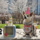 일또 | 파티, 아이돌, 그리고 한주 다이어리