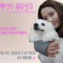 한일주단 - 1196 | 한일주단
