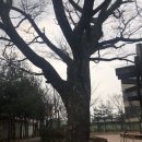 청남초교 이미지