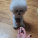 도도메디 이미지