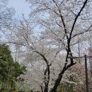 사기막골로 31번길 이미지