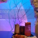 투썸플레이스 덕례점 이미지