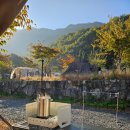 비타민 팜 오토캠핑장 이미지