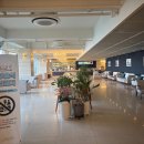 광안리 관광숙박 | 부산 광안리 호텔 추천: ' 호메르스 호텔 ' 가성비 오션뷰 광안대교뷰 숙박 후기