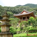 청산노을