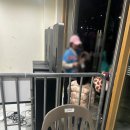 CU중구약수점 | 장충체육관 ‘GS칼텍스 서울kixx 배구단‘ V-리그 여자부 G2구역 직관 후기 (티켓/시야/음식/팁)