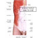 기능동작아카데미 이미지