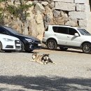 휴성펜션 이미지