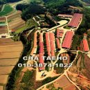 활천농장 이미지