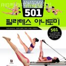 강남구청담동필라테스 AIO필라테스 청담본점 필라테스 강사 PT 자격증 센터 스튜디오 필라테스 유산소...