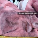 월드크리닝 해운대지사 이미지