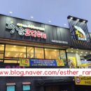 황금코다리 건너편 이미지