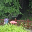 고승농장 이미지