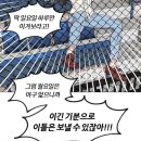 202 | [잠실야구장 직관 후기] 1루 레드석 202블럭 6열 시야 | 두산 vs 기아 시범경기 | 잠실야구장 픽...