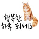커스텀커피더하우스 이미지