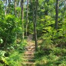 송정메타세콰이어길 이미지