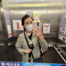 오송댄스핏