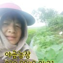 야곱농장 이미지