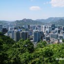 남산길 | 서울 산책코스 추천 남산 둘레길 산책 후기 – 남산 전망대에서 서울 도심이 한눈에