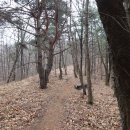 녹색마을길 이미지