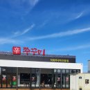 파주 신 쭈꾸미 이미지