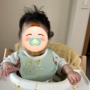 270-3011 | 초기 이유식 준비물 구매 후기 - 자이티 큐브, 실리쿡 정리 용기, 티지엠 조가비 흡착볼, 릿첼 실리콘...