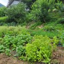 정솔펜션 이미지