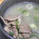 장수설렁탕 | 신사 맛집 뜨끈한 국밥 한그릇 장수설렁탕