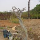 이병렬 농장 이미지