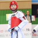 한국경희대태권도체육관 이미지