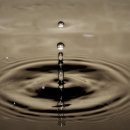 정화한의원 이미지