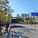 장성황룡강노란꽃잔치 축제장2 이미지