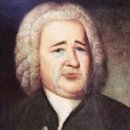 더 코지 이미지