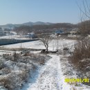 대지부동산중개사무소 이미지