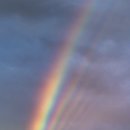 포도약국 이미지