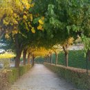 국토보상 행정사 사무소 이미지