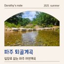 계곡 | 파주 퇴골계곡 후기, 가족 나들이 여름 계곡 추천