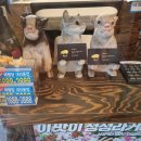 비스트로피그(Bistro Pig) 이미지