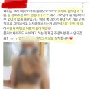 갓벽브라 받으시자마자 울 러버님들 리얼 후기, 거봐요 재 구매 무조건이랬죠? 😎