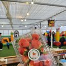 장원영농장 이미지